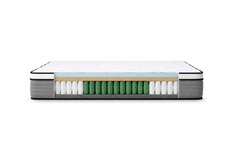 Targeted Support — reinforced where weight concentrates