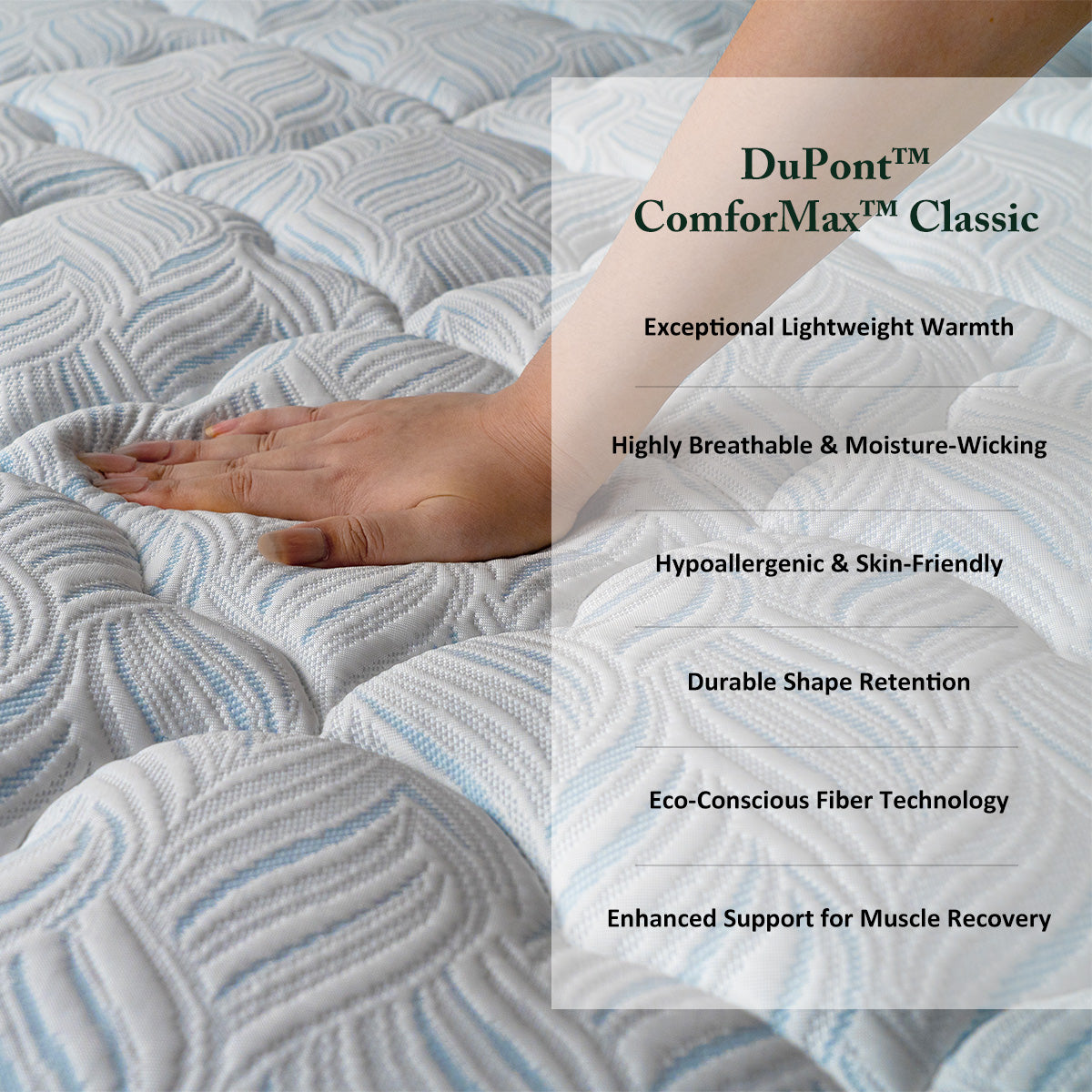 Manchot EcoComfort Hybrid Mattress