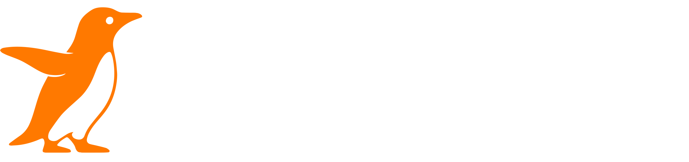 manchot sleep